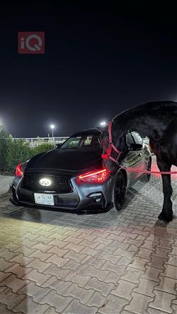 إنفينيتي Q50